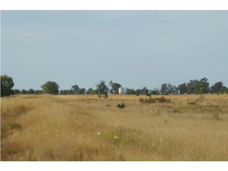 Goondiwindi QLD 4390