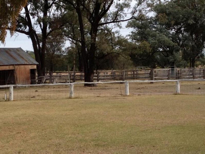 15569 Bruxner Hwy, Texas QLD 4385