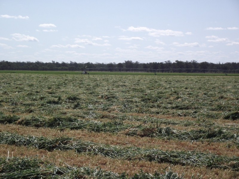 4549 Texas – Yelarbon Road, Yelarbon QLD 4388