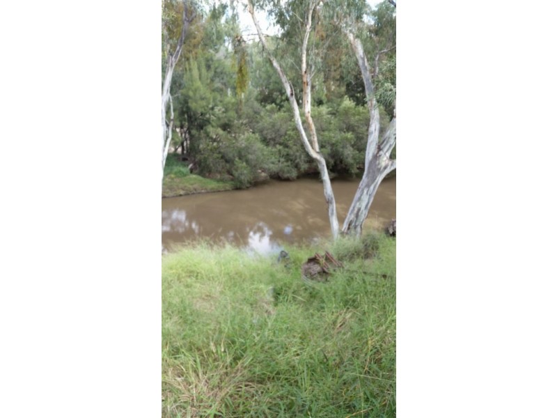 4549 Texas – Yelarbon Road, Yelarbon QLD 4388