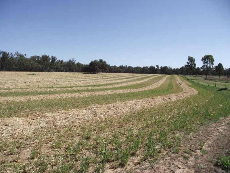 4549 Texas – Yelarbon Road, Yelarbon QLD 4388