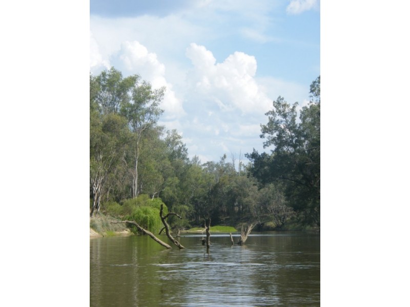 4549 Texas – Yelarbon Road, Yelarbon QLD 4388