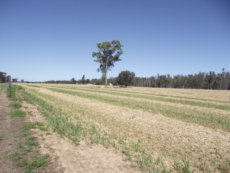 4549 Texas – Yelarbon Road, Yelarbon QLD 4388