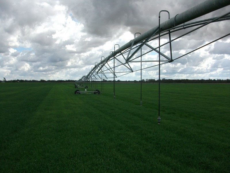 4549 Texas – Yelarbon Road, Yelarbon QLD 4388