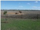 253 Mooroobie Lane, Goondiwindi QLD 4390
