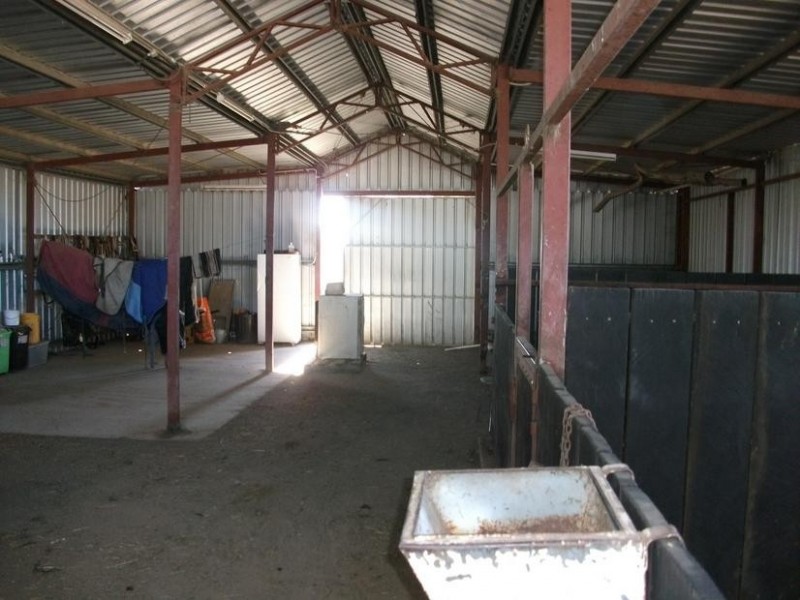 253 Mooroobie Lane, Goondiwindi QLD 4390