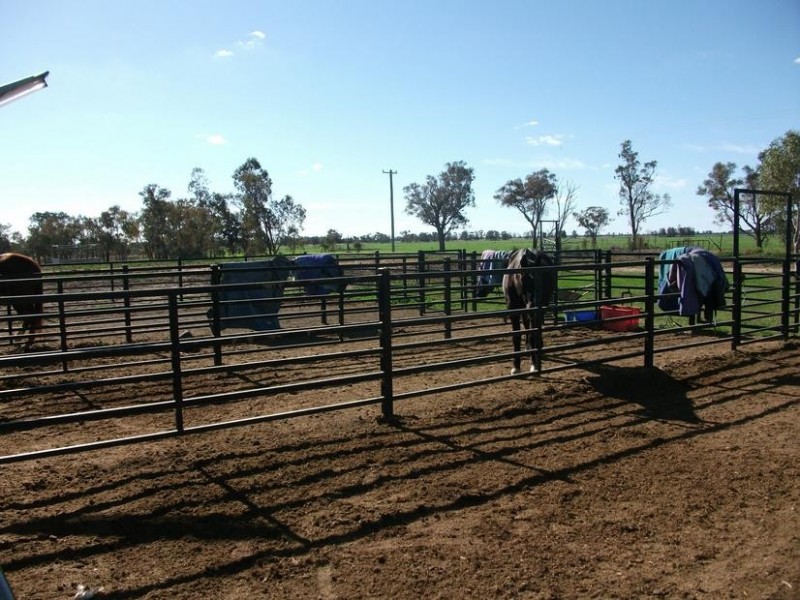 253 Mooroobie Lane, Goondiwindi QLD 4390