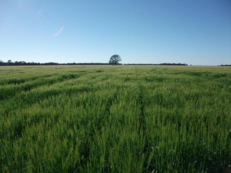 Goondiwindi QLD 4390