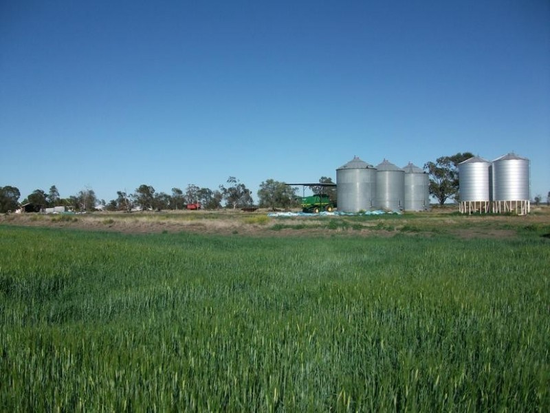 Goondiwindi QLD 4390