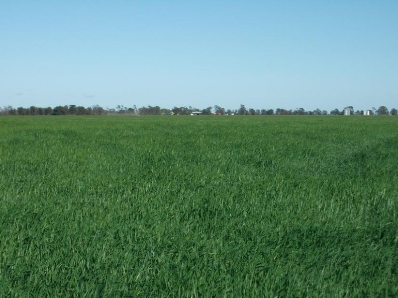 Goondiwindi QLD 4390