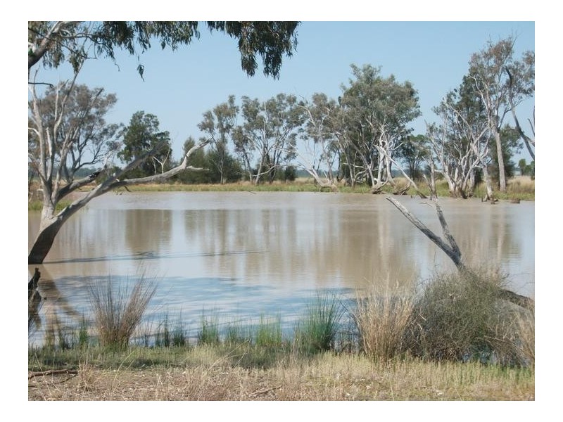 1679 Minnel Rd, Goondiwindi QLD 4390