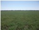1679 Minnel Rd, Goondiwindi QLD 4390