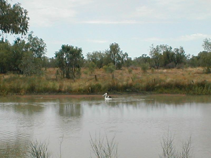 * James Norman DRIVE, Goondiwindi QLD 4390