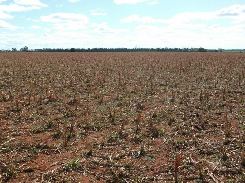 924 Scotts Rd, North Star NSW 2408