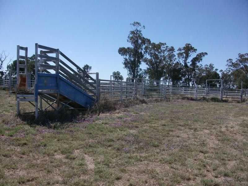 924 Scotts Rd, North Star NSW 2408