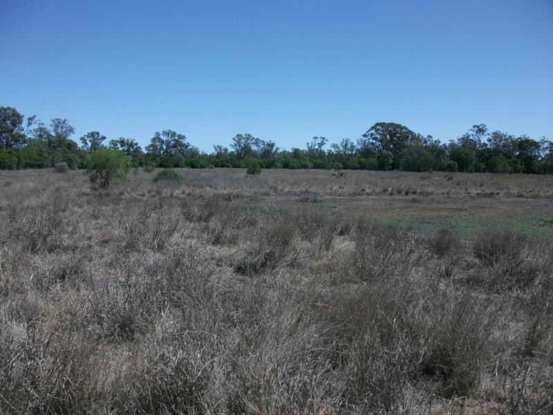 924 Scotts Rd, North Star NSW 2408