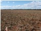 924 Scotts Rd, North Star NSW 2408