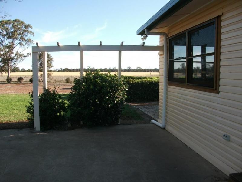 924 Scotts Rd, North Star NSW 2408