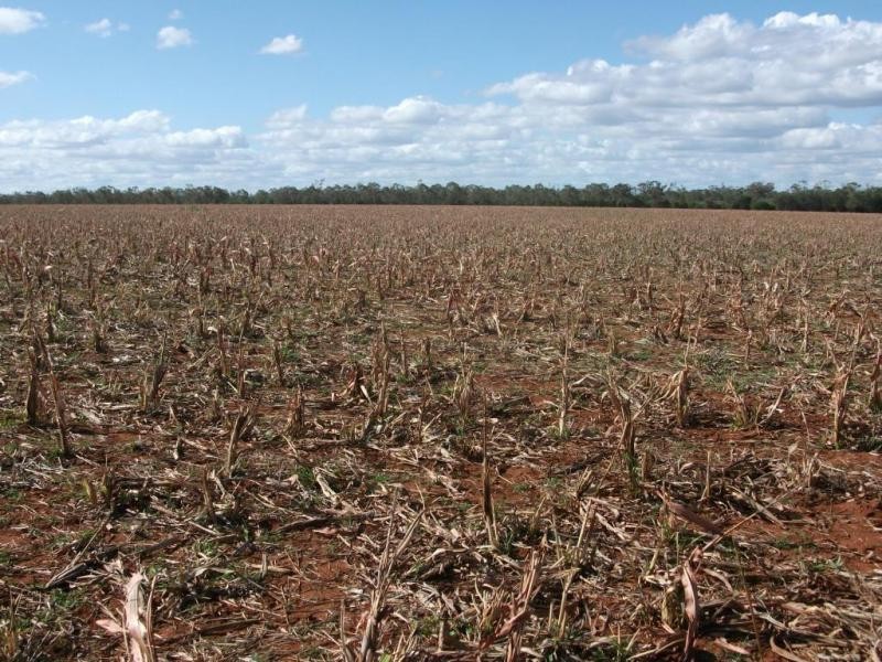 924 Scotts Rd, North Star NSW 2408