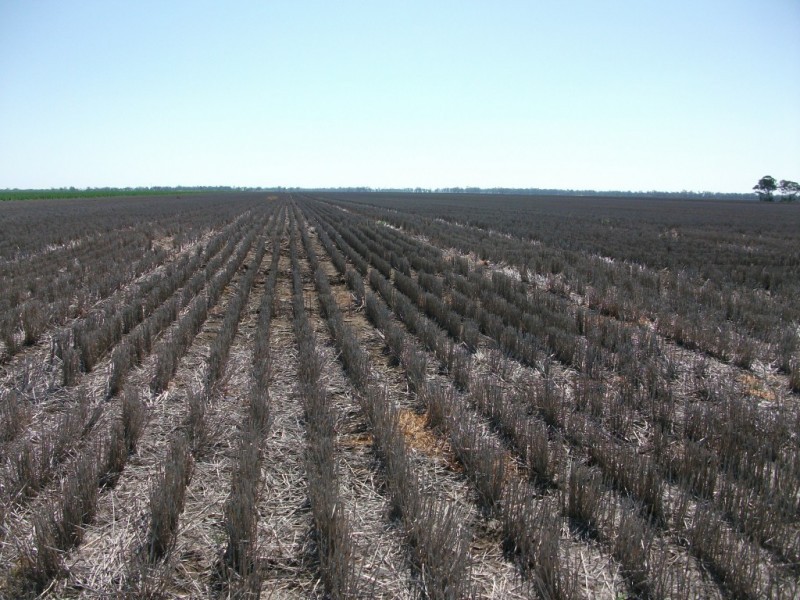 365 Avondale rd, Boggabilla NSW 2409