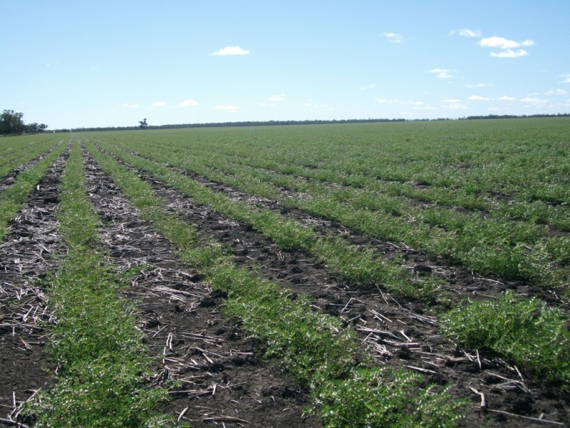 365 Avondale rd, Boggabilla NSW 2409