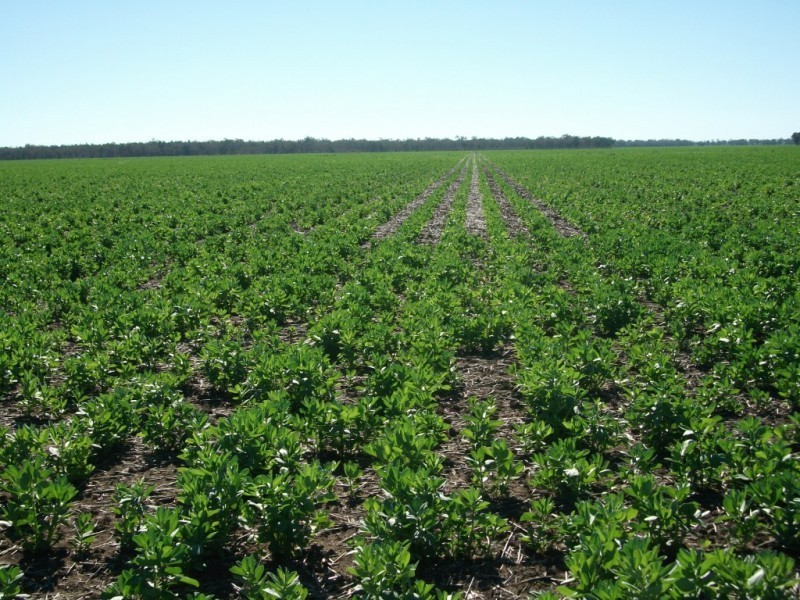 365 Avondale rd, Boggabilla NSW 2409