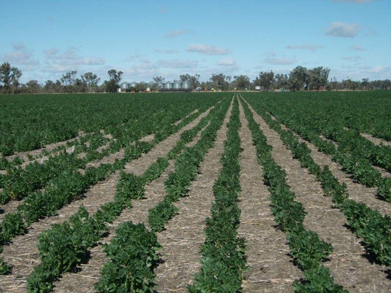 365 Avondale rd, Boggabilla NSW 2409