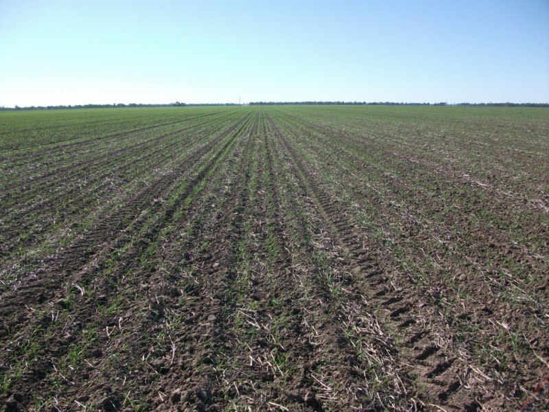 365 Avondale rd, Boggabilla NSW 2409