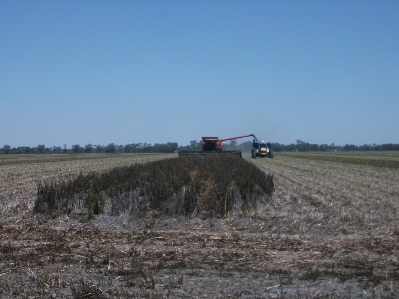 365 Avondale rd, Boggabilla NSW 2409