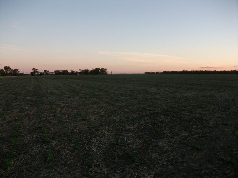 365 Avondale rd, Boggabilla NSW 2409