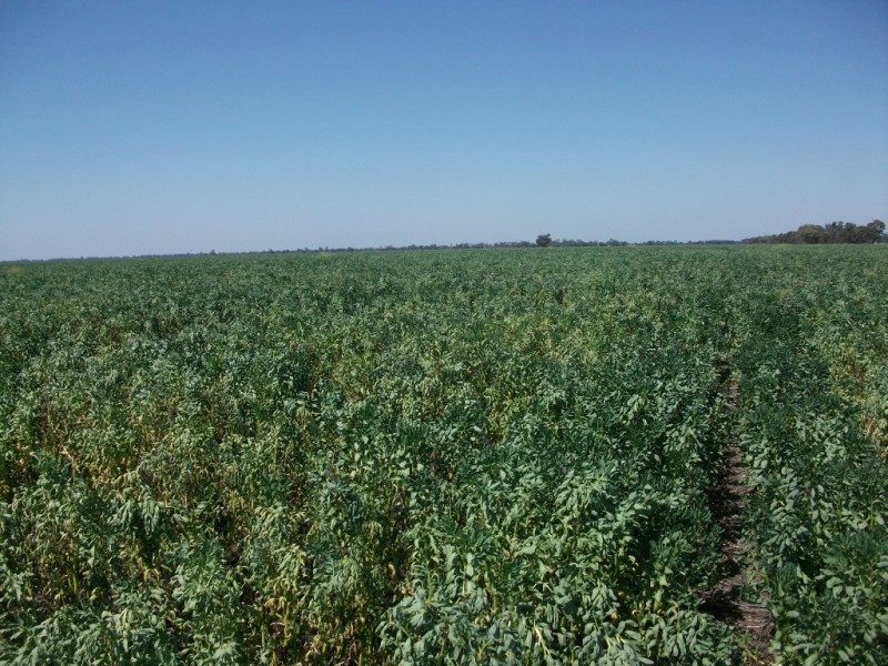 365 Avondale rd, Boggabilla NSW 2409