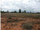4370 Balonne Hwy, St George QLD 4487