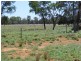 4370 Balonne Hwy, St George QLD 4487