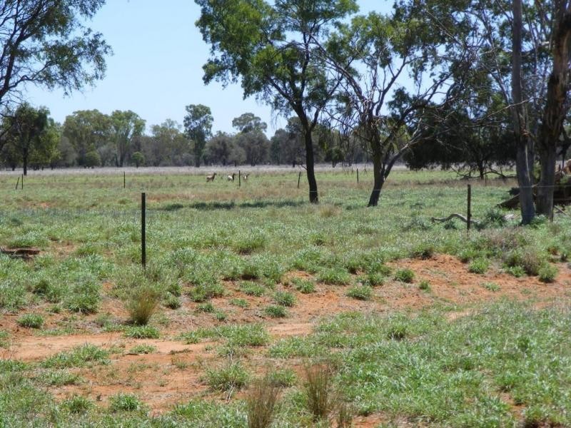 4370 Balonne Hwy, St George QLD 4487