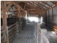 4370 Balonne Hwy, St George QLD 4487