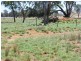 4370 Balonne Hwy, St George QLD 4487