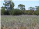 4370 Balonne Hwy, St George QLD 4487