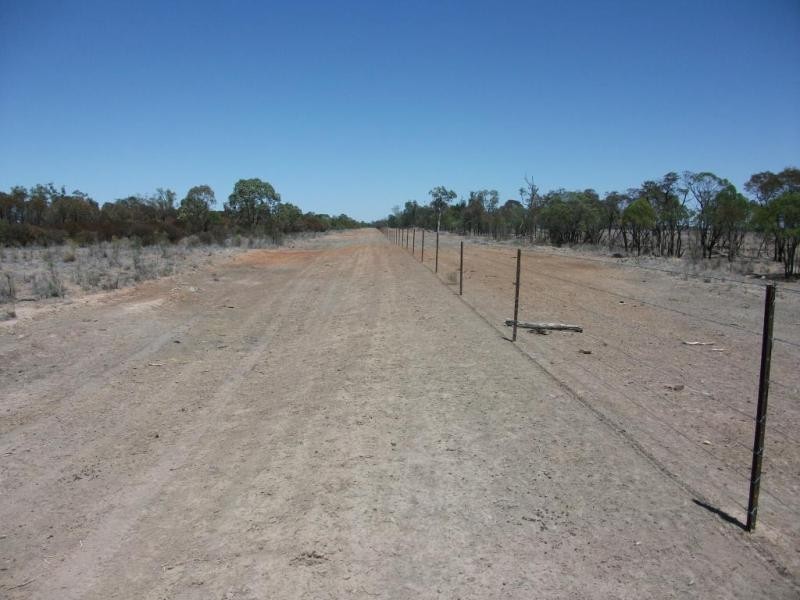 4370 Balonne Hwy, St George QLD 4487