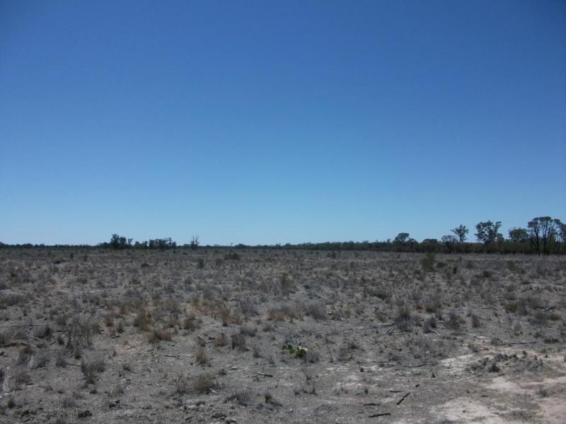 4370 Balonne Hwy, St George QLD 4487