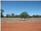 4370 Balonne Hwy, St George QLD 4487