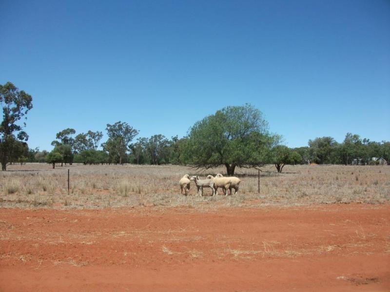 4370 Balonne Hwy, St George QLD 4487