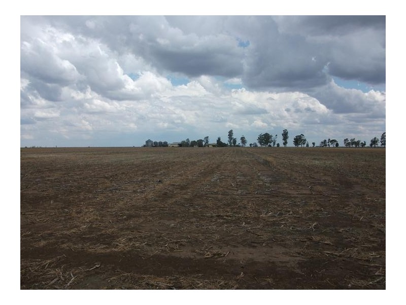 3770 Dalby – Cecil Plains Rd, Cecil Plains QLD 4407