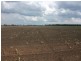 3770 Dalby – Cecil Plains Rd, Cecil Plains QLD 4407