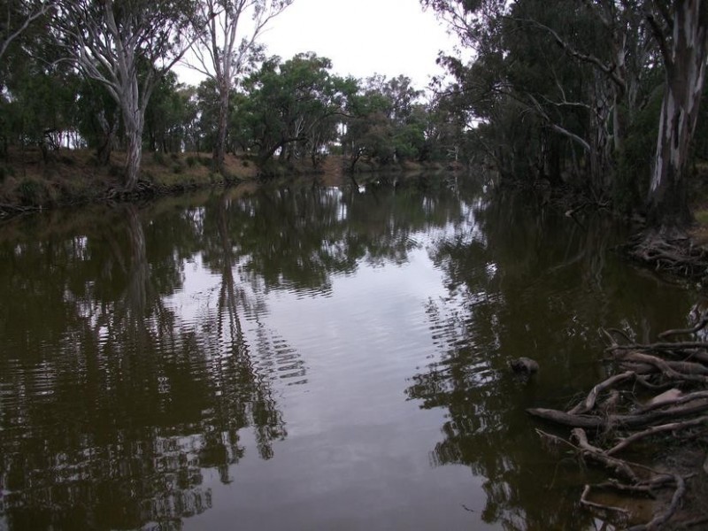 Goondiwindi QLD 4390
