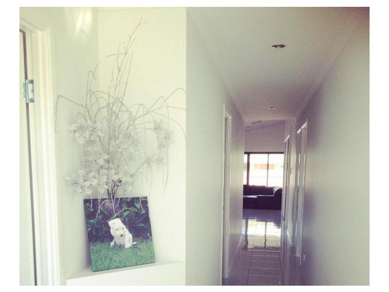 Goondiwindi QLD 4390