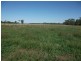 1078 Burumbah Rd, Goondiwindi QLD 4390