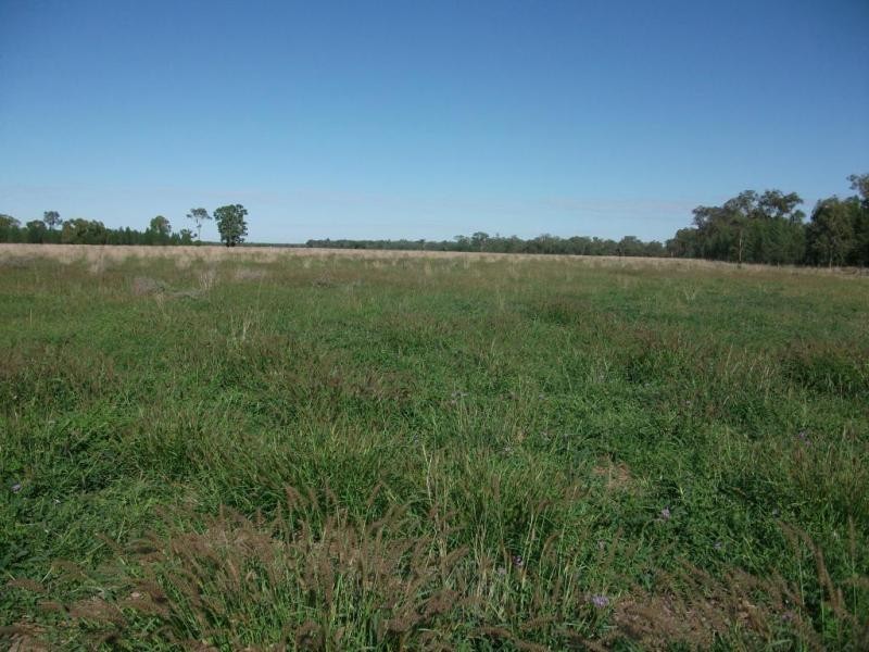 1078 Burumbah Rd, Goondiwindi QLD 4390