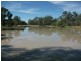 1078 Burumbah Rd, Goondiwindi QLD 4390