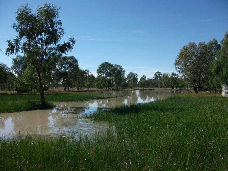 1078 Burumbah Rd, Goondiwindi QLD 4390