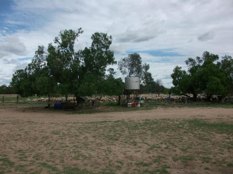 1078 Burumbah Rd, Goondiwindi QLD 4390
